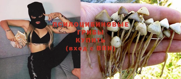 прущая мука Аркадак